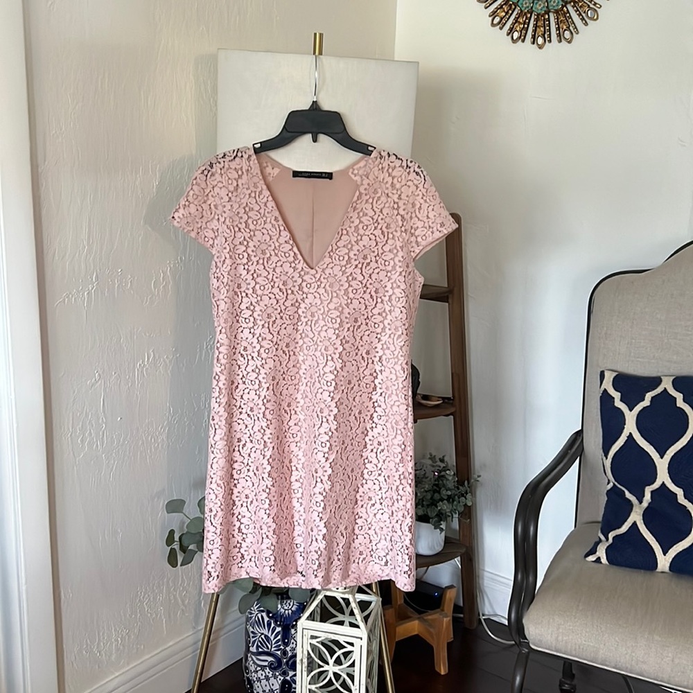 Zara Pink Lace Dress